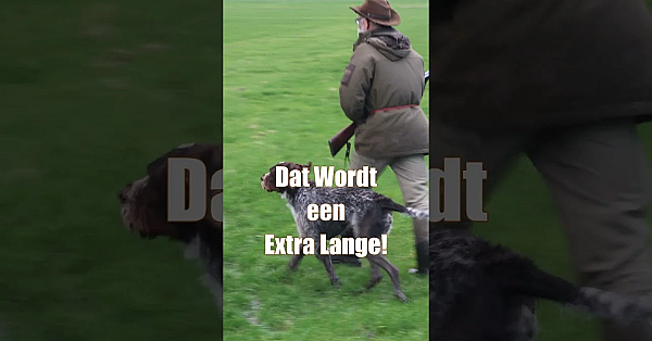 Deze Week Helaas Ge4en Aflevering, We Zijn Er Volgende Week Weer Met Een Extra Lange Film.