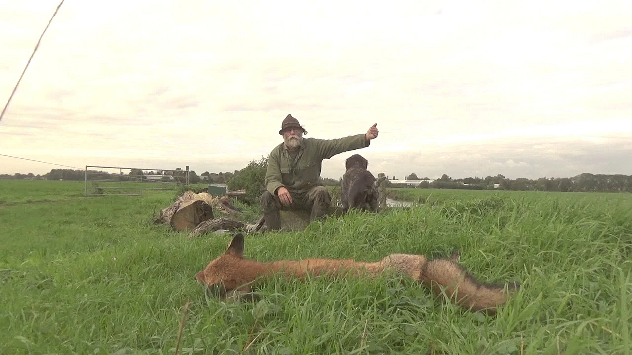 Roepend In Een Woestijn Hee
