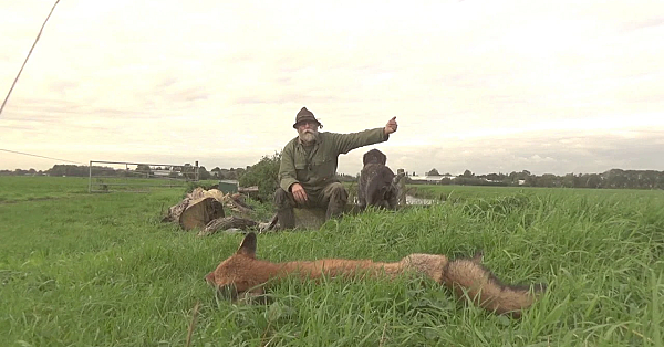Roepend In Een Woestijn Hee