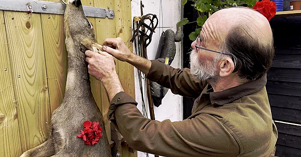 Jagen Met Eduard - Mijn Mooiste Trofeën (de Mooiste Zal Je Verbazen!)