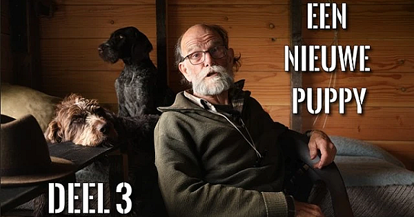 JAGEN MET EDUARD - Dit is een Hondenfilmpje