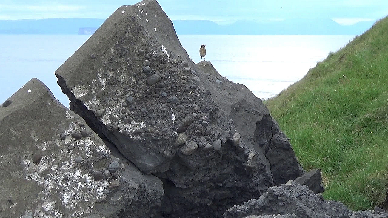 Gebroken Rots En N Splinter In M Duim