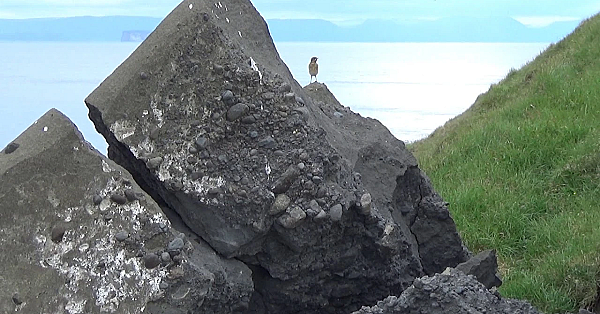 Gebroken Rots En N Splinter In M Duim