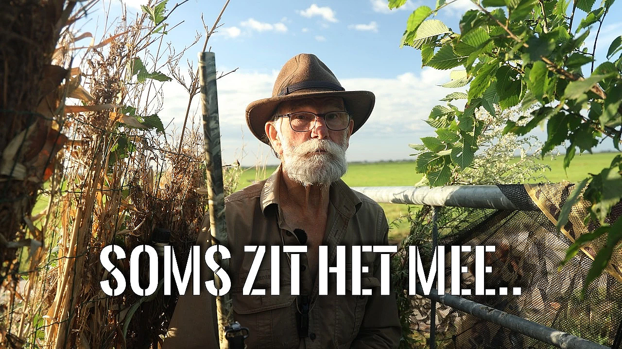 Eindelijk Weer Een Ganzenfilmpje