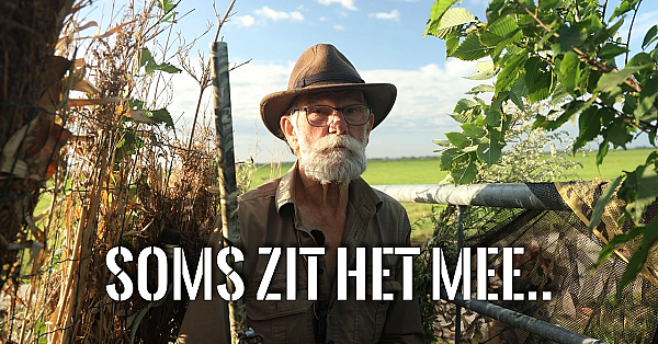 Eindelijk Weer Een Ganzenfilmpje