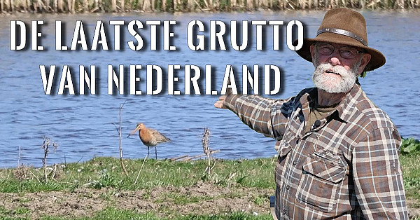 Jagen Met Eduard - Mensen Die Denken De Natuur Te Beschermen, Maken Hem Kapot