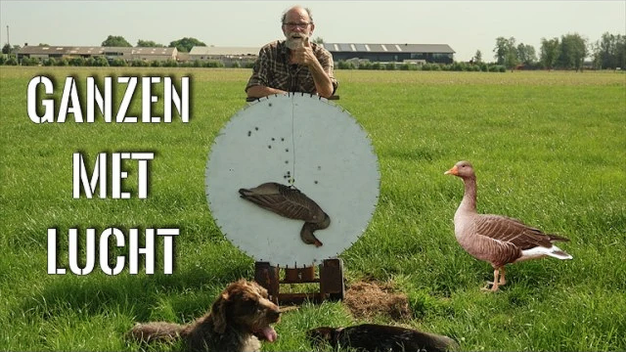 Hoe Schiet Je Een Gans met Een Luchtbuks op 100M?