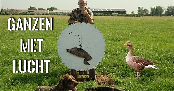 Hoe Schiet Je Een Gans met Een Luchtbuks op 100M?