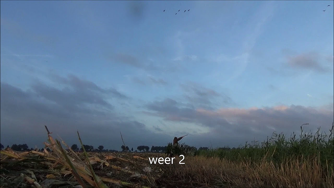 Ganzen Jagen Met Jack