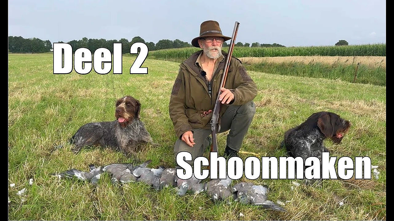 Jagen Met Eduard - Hoe Maak Ik Een Duif Schoon?