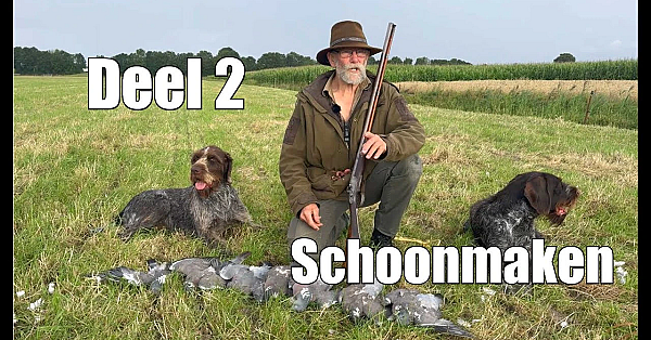 Jagen Met Eduard - Hoe Maak Ik Een Duif Schoon?