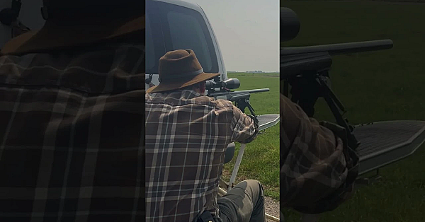 Gans Schieten Op 200 Meter #hunting #jacht #jagen #gans #goose #shooting