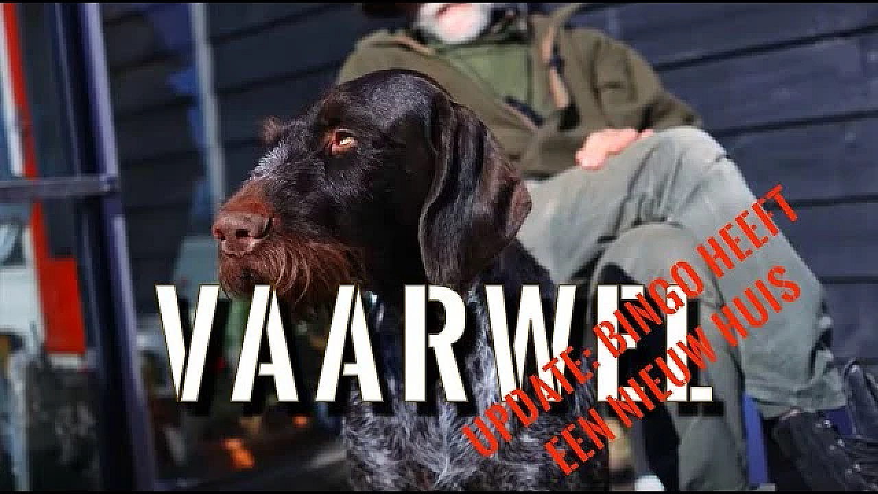 Jagen Met Eduard - Met Pijn In Mijn Hart...