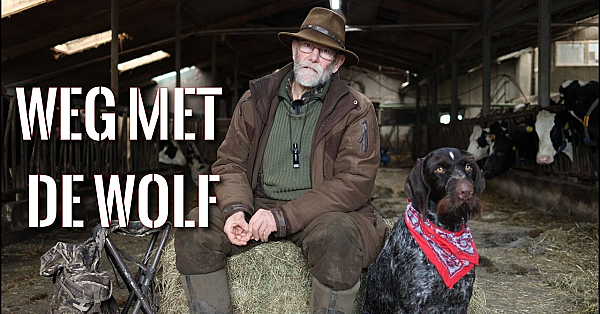 Jagen Met Eduard - De Jager, De Boer, De Vos En De Wolf.