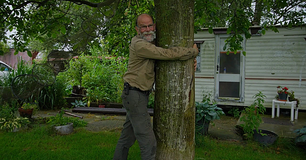 Jagen Met Eduard  De Bomen Op Ons Erf