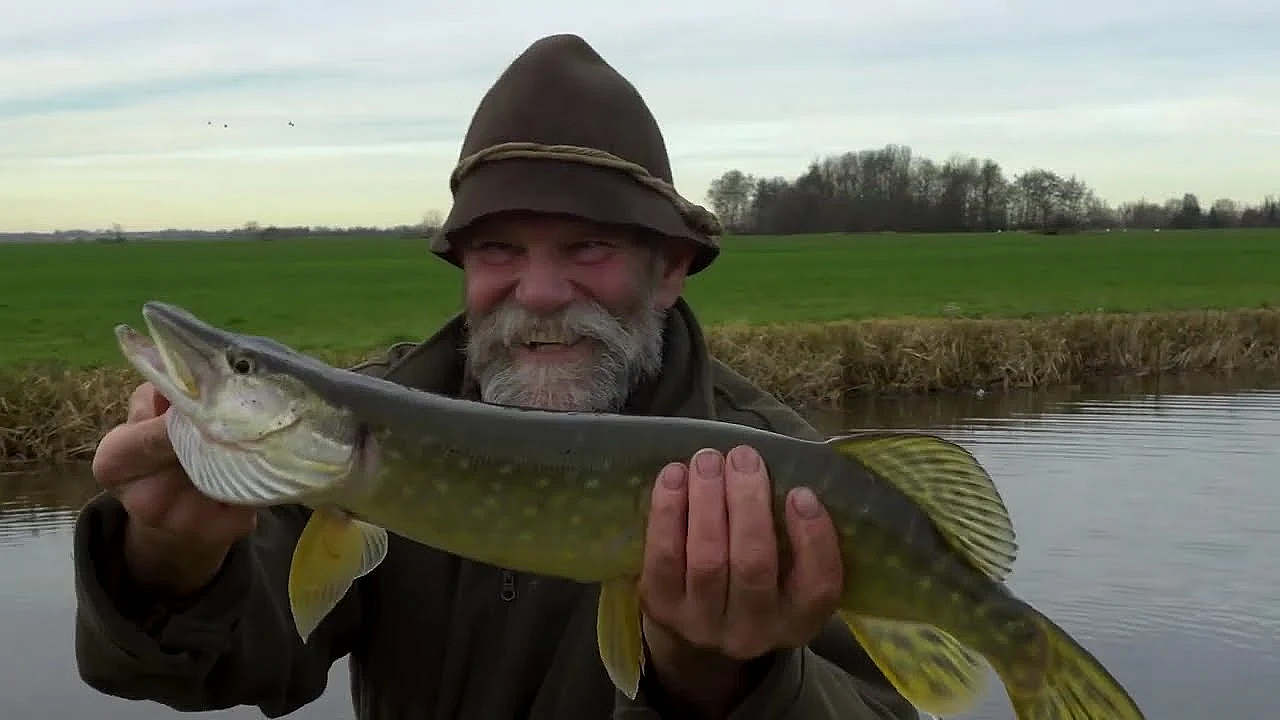 De Eeuwige Jacht V1 0