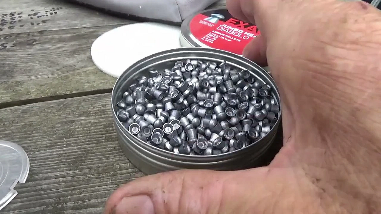 Jagen Met N Vliegenmepper