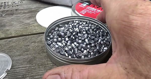 Jagen Met N Vliegenmepper