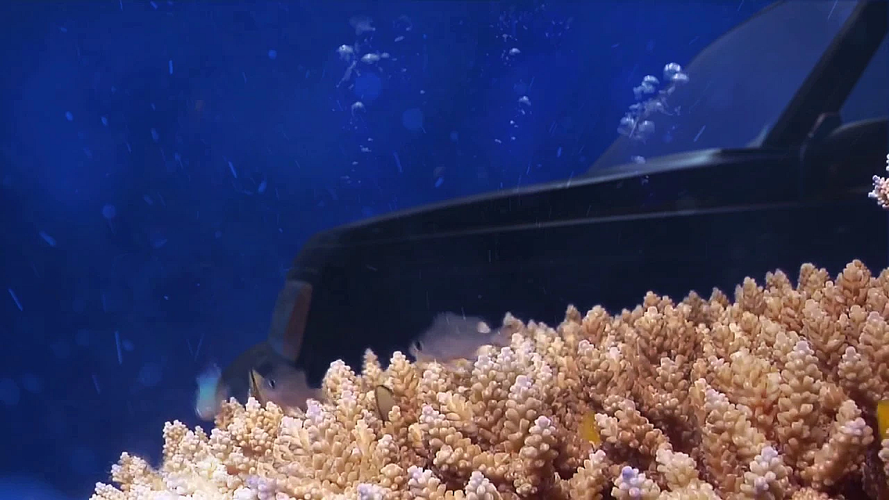 Zo verkoop je je jachtauto