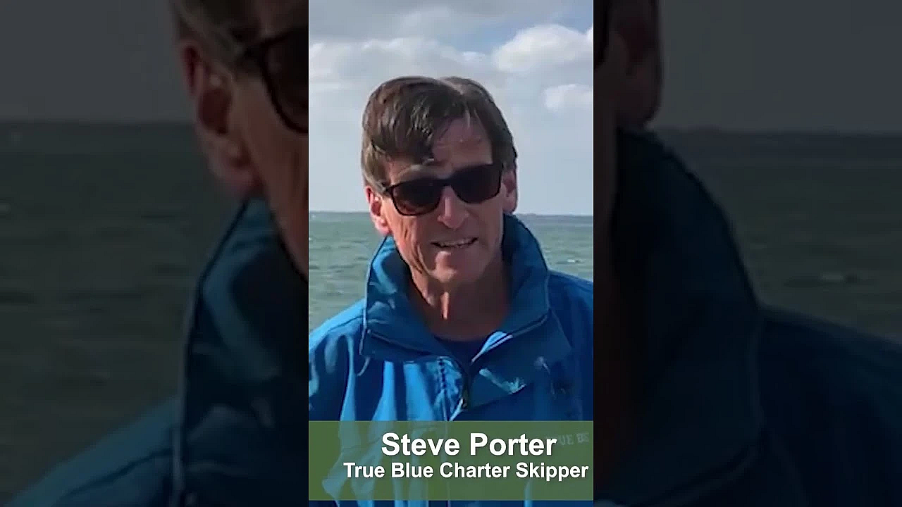 Good News For Big Game Fishing #bluefintuna #sportfishing