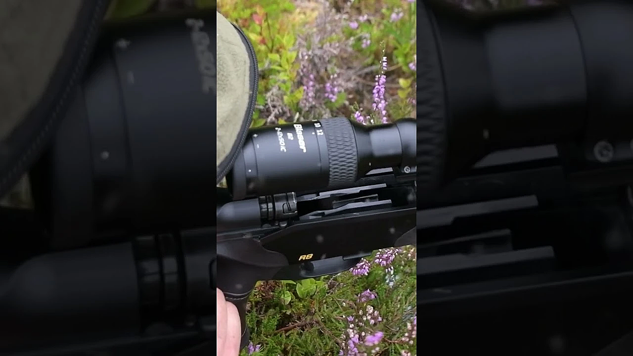 A Year In The Life Of Sika: Part 1  #fieldsportsbritain