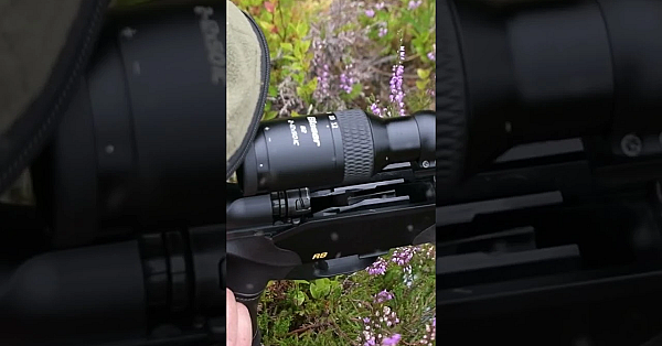 A Year In The Life Of Sika: Part 1  #fieldsportsbritain