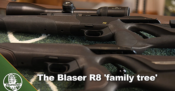 The Blaser R8 'family Tree'