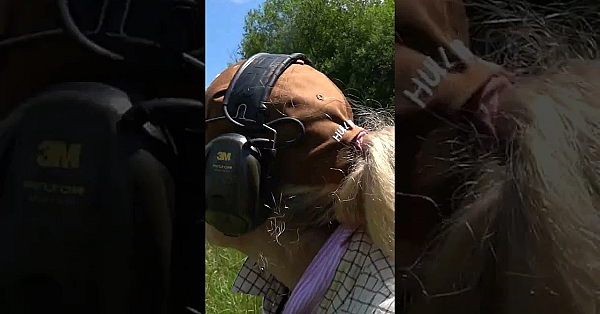 ‘Why do I like shooting?’ @awruleandsongunmakers4863 @southwestsportingltd