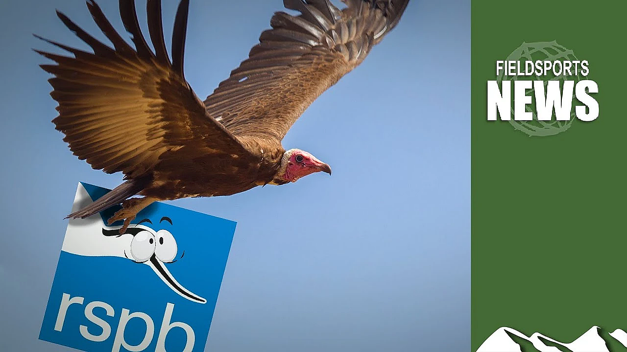 Rspb 'self-isolates' From Shooting Community With Demanding Gamebird Review