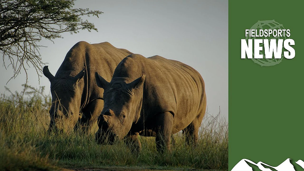 How Antis Are Killing Elephants And Rhinos