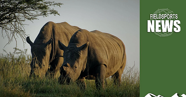 How Antis Are Killing Elephants And Rhinos