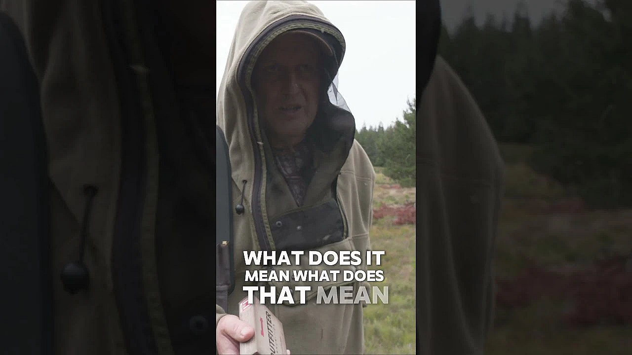 Why Niall Uses #hornady Ammunition  #hunting