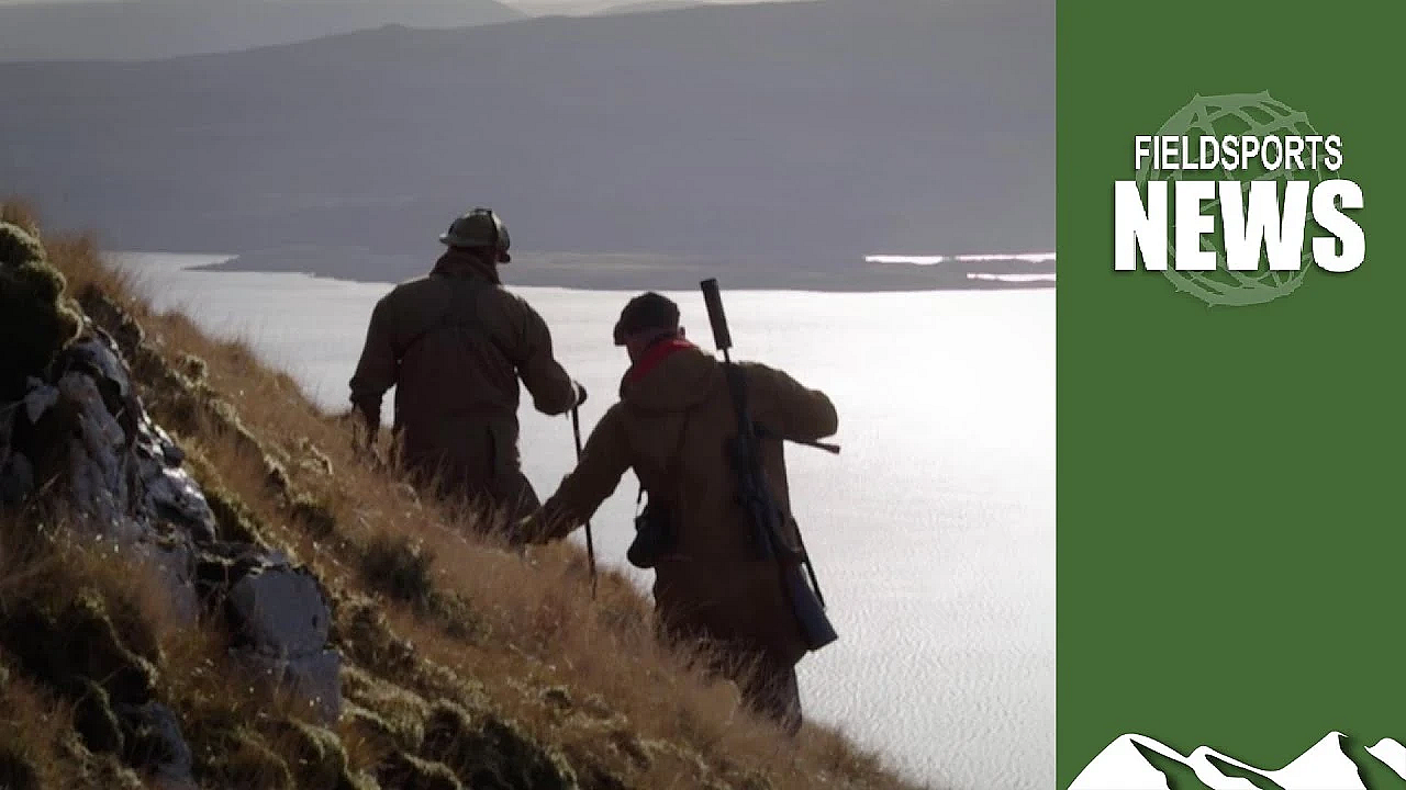 Stag-in-watergate: Shooters Cleared