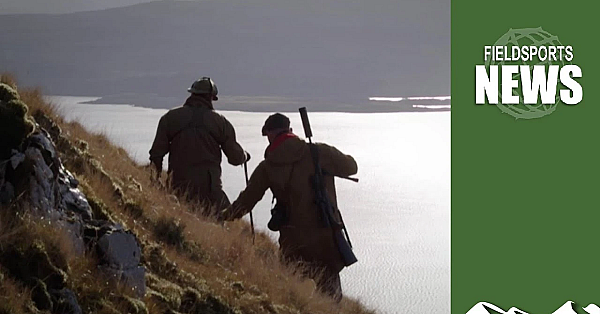 Stag-in-watergate: Shooters Cleared