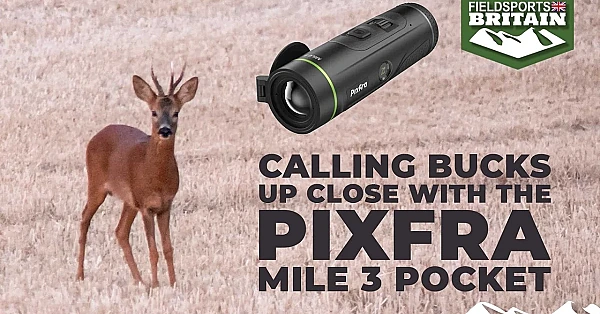 Calling bucks up close with the Pixfra Mile 3 Pocket