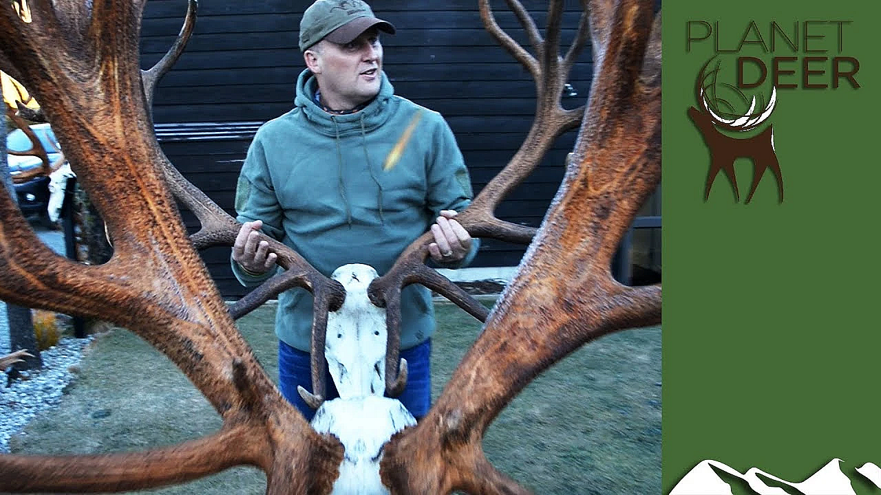 Niall Rowantree's Biggest Beast