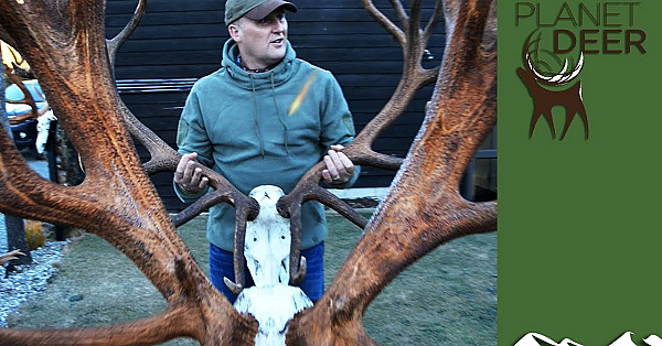 Niall Rowantree's Biggest Beast