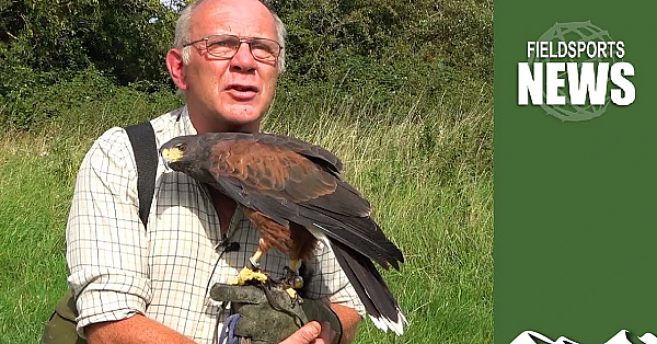 How The Rspb Persecutes Gamekeepers