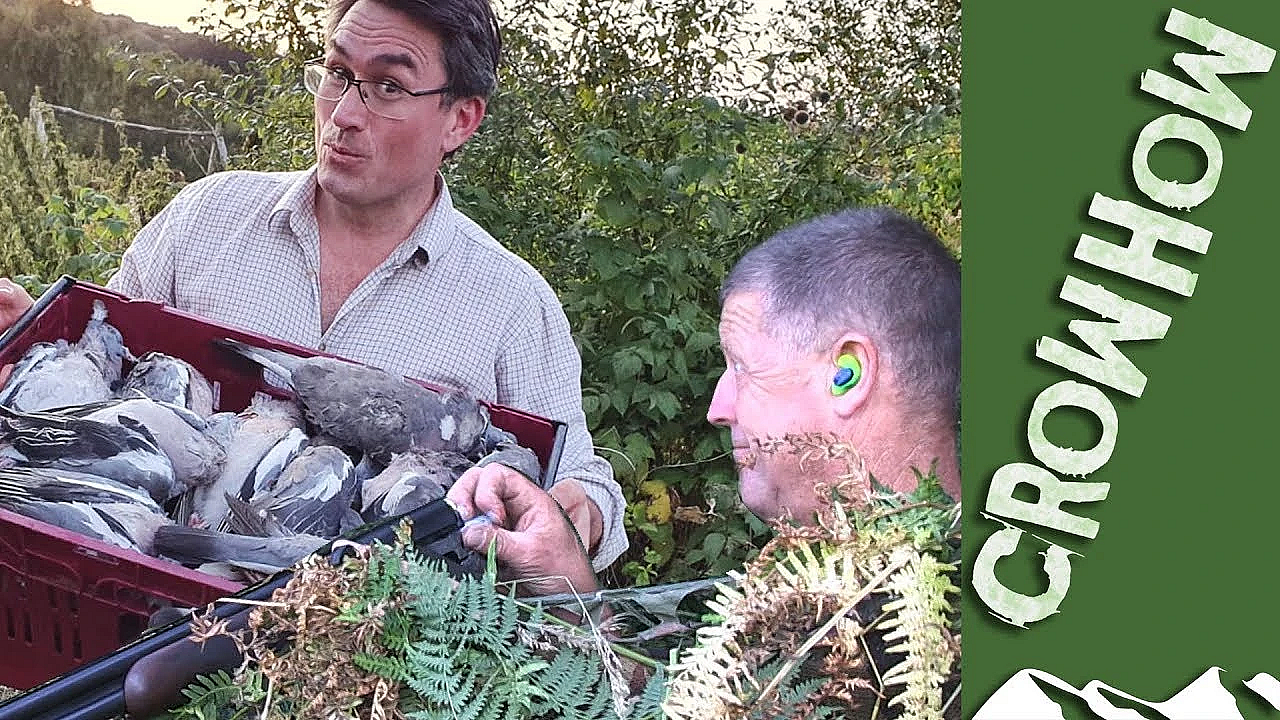 A Box Full Of Fat September Woodpigeons - Crowhow