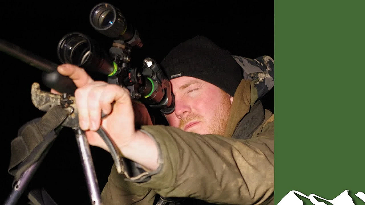 Big Night Rabbit Shooting