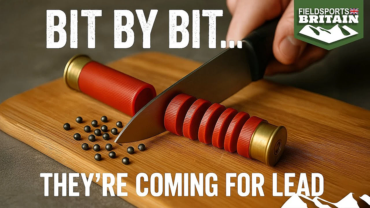 Massive Majority Against Lead Ammo Ban