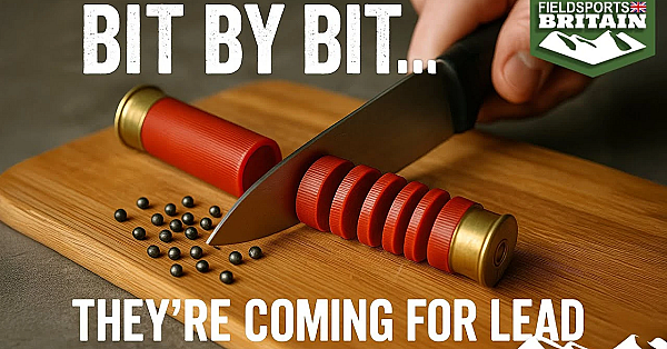 Massive Majority Against Lead Ammo Ban