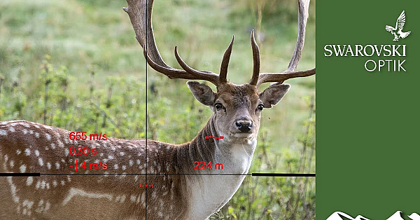 What The Swarovski Ds Gen Ii Riflescope Can Do With Deer