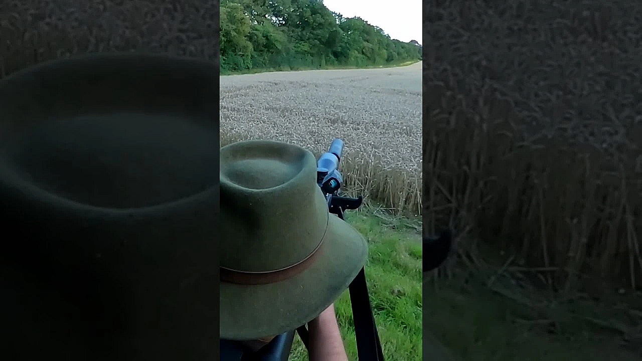 Roy Takes David Out For The #roedeer Rut