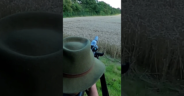 Roy Takes David Out For The #roedeer Rut