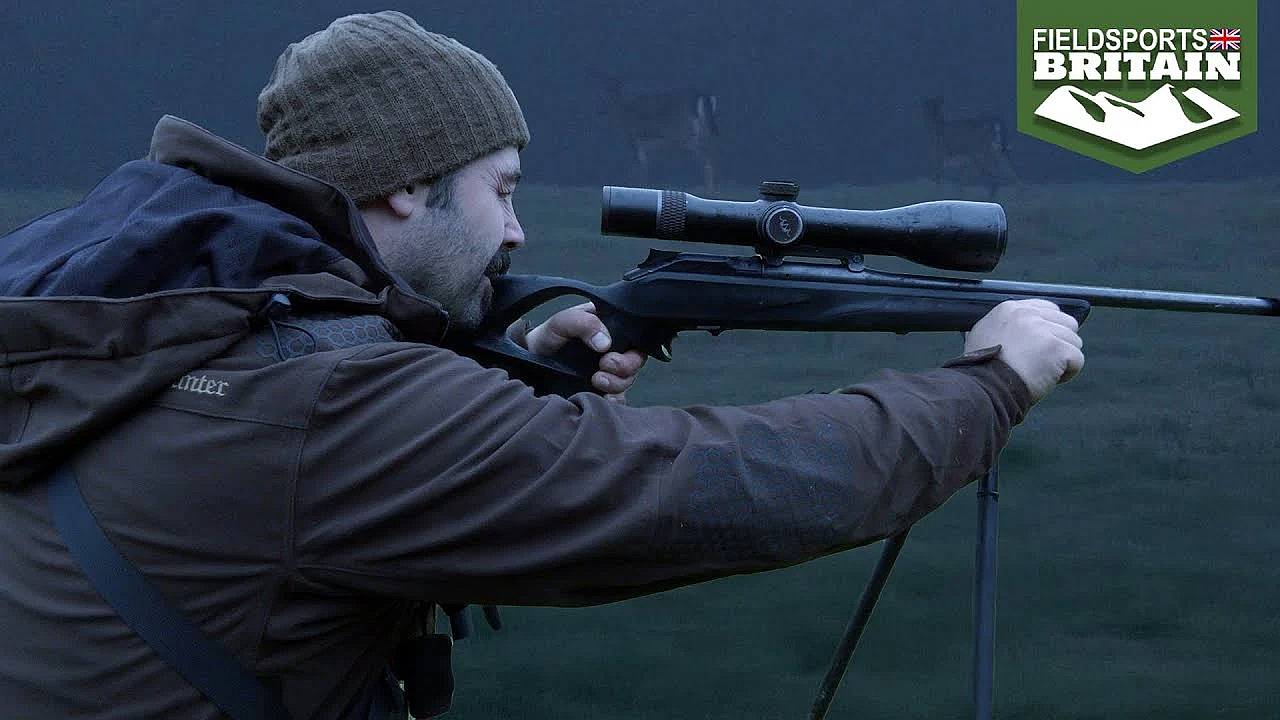 Stalking Fallow For The Freezer