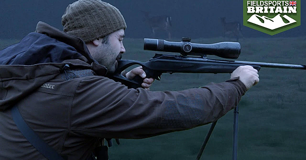 Stalking Fallow For The Freezer