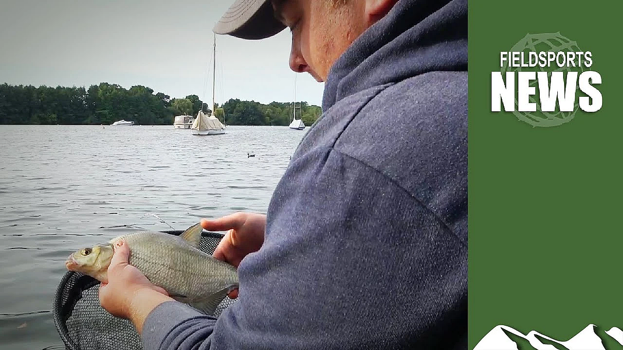 Bream Wars In The Norfolk Broads