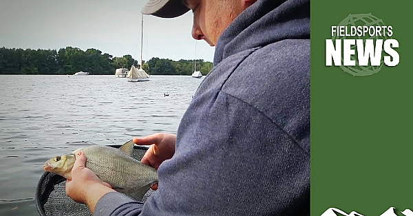Bream Wars In The Norfolk Broads