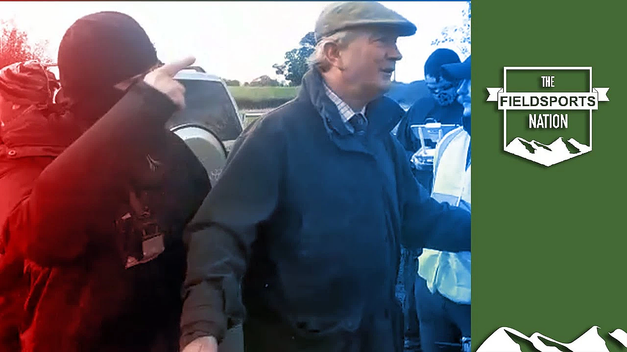 How To Deal With Antis